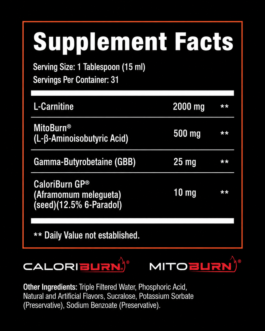 FAT BURN 360° | Turn Fat Into Energy