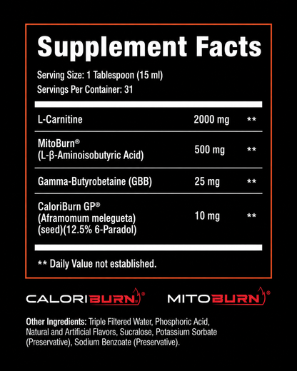 FAT BURN 360° | Turn Fat Into Energy