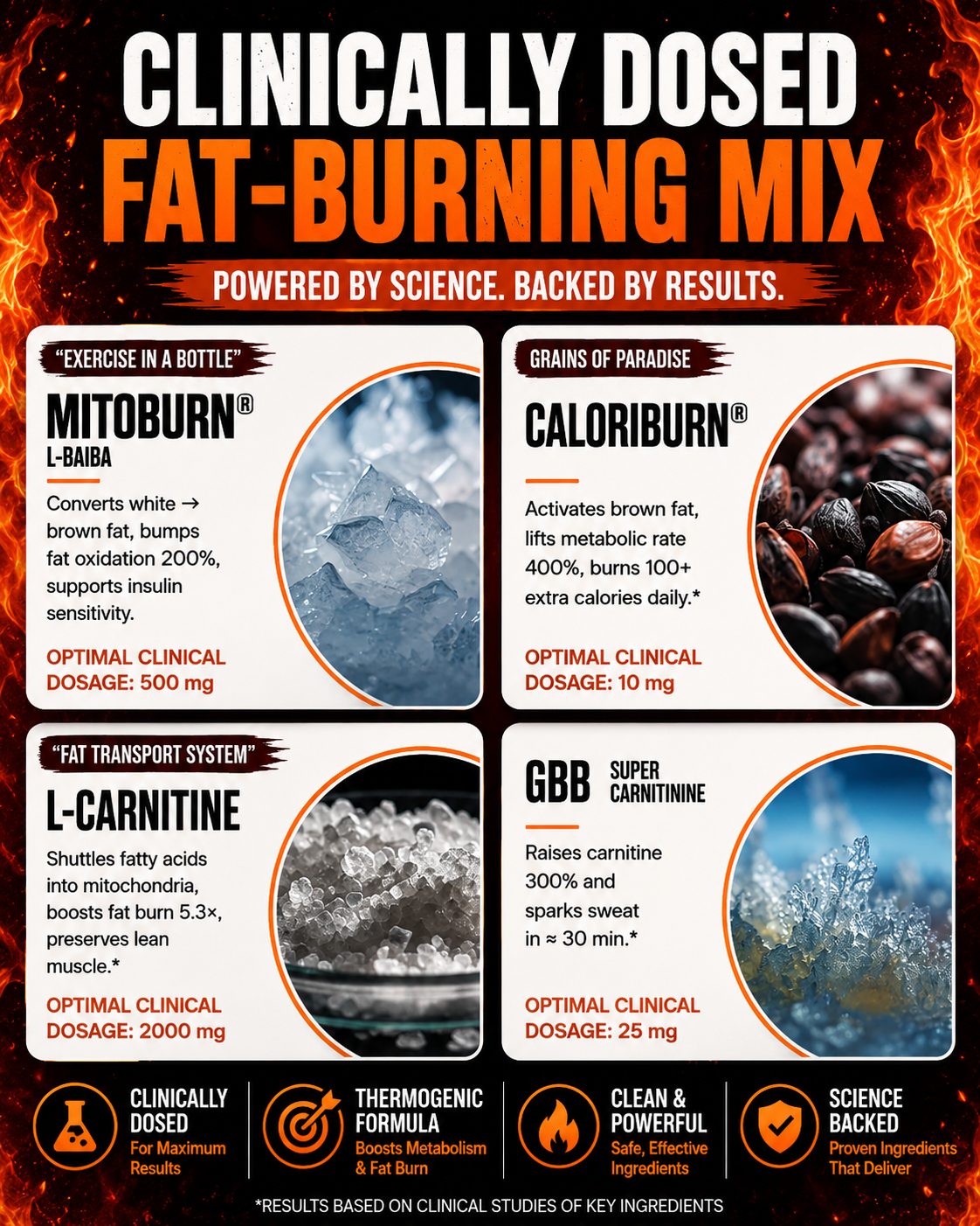 FAT BURN 360° | Turn Fat Into Energy