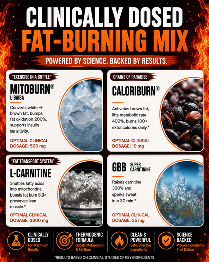 FAT BURN 360° | Turn Fat Into Energy